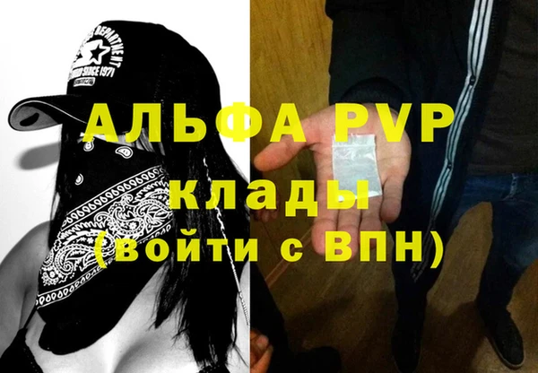 стафф Михайлов