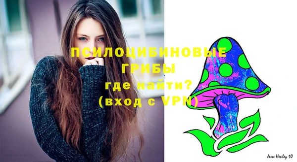 шишки Алексеевка