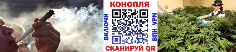 купить наркоту Почеп дарк нет как зайти Бошки Шишки семена